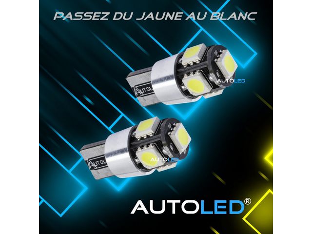 PACK 4 AMPOULES LED BLEU C5W 36mm+W5W Habitacle