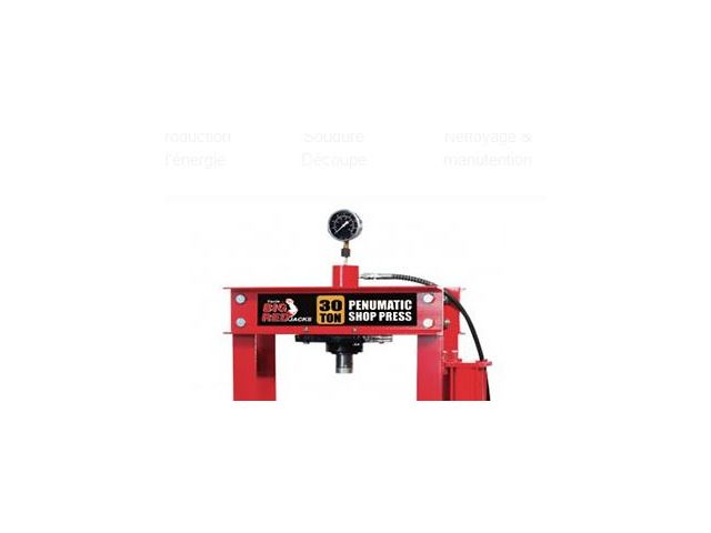 Presse hydraulique 30 tonnes - Presse d'atelier 30 tonnes - Cdiscount Auto