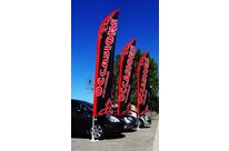 Kit Mât super voile élégance avec scion courbé inox sur roulement à billes | plus 4 couleurs