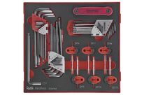 Jeu de clés HEX- TX Foam2 tray 42 pièces Teng Tools TEDHT42