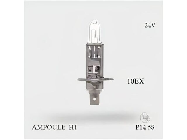 Ampoule H1 | NovaGroup