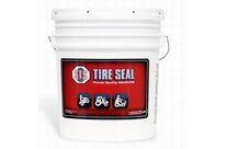 Produit d’étanchéité | STS Tire Sealant