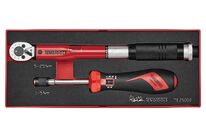 Set de clés dynamométriques et tournevis Foamx2 tray 1/4 2 pièces Teng Tools TEZSD02