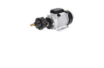 Pompes électriques huile hautes performances :