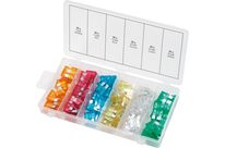 Assortiment de fusibles en zinc - 5A &amp;gt; 30A (120 pcs)