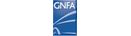 GNFA