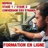 Formation