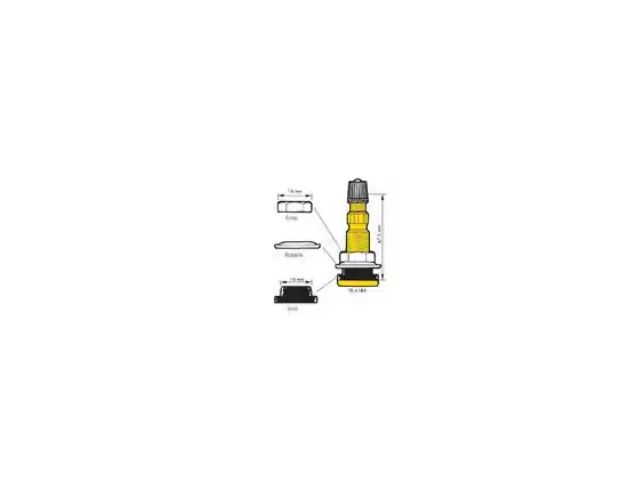 Valves avec obus et bouchon monté | TR618 A 