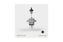 Ampoule H4 12V-60/55W | NovaGroup