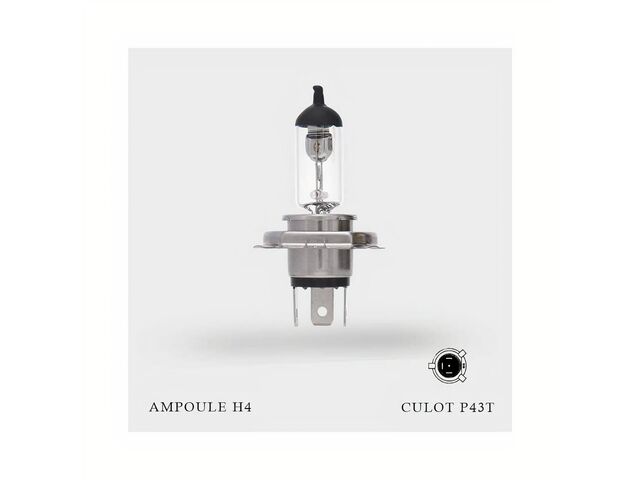 Ampoule H4 12V-60/55W | NovaGroup