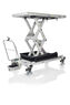 Table élévatrice pour atelier