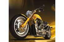 Huile Moto Synthétique | DINOIL PREMIUM 2T Compétition