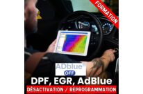 Formation de six semaines en reprogrammation moteur
