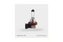 Ampoule H8 12V-35W | NovaGroup