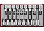 Embouts sur douilles Tx TT1 tray 1/2'' 18 pièces Teng Tools TTTX18