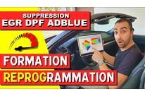 Formation à la désactivation des systèmes EGR, DPF (FAP), AdBlue 