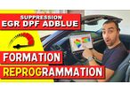 Formation à la désactivation des systèmes EGR, DPF (FAP), AdBlue 