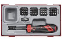Tournevis dynamométrique et embouts TT1 tray 1/4&amp;#039;&amp;#039; Plat- PH- PZ- TX- TPX- HEX- ROB- GR 38 pièces Teng Tools TTSD38