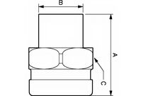 Raccord droit PVC fileté femelle | PVR RMT