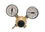 Régulateur de gaz avec 2 manomètres Telwin 722119