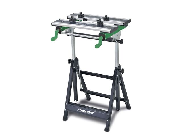 Etabli multi fonction Holzstar SWT100