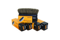 Lot de 5 brosses Vorwerk à poils courts