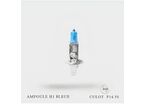 Ampoule H1 Xénon Blue 12V-55W Culot P14.5S | NovaGroup
