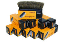 Lot de 10 brosses Vorwerk à poils courts